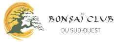 Bonsai Club du SudOuest