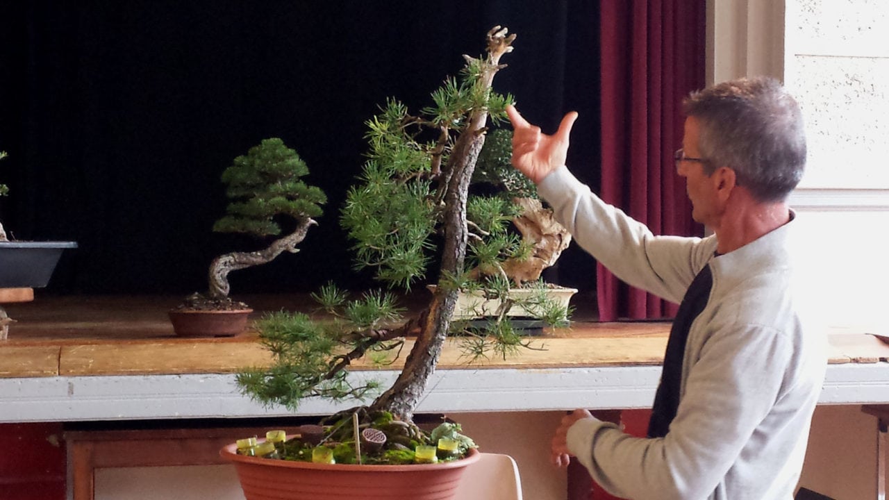 La Vie Du Club Bonsai Club Du Sudouest